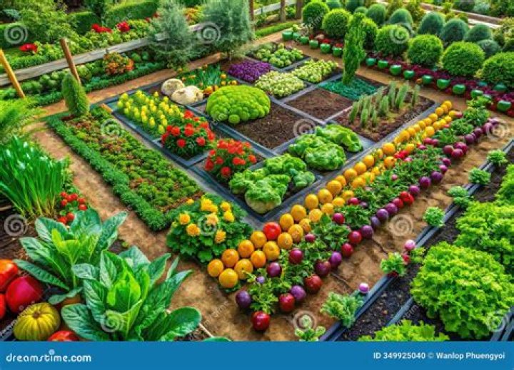 Are grasshoppers beneficial to a vegetable garden