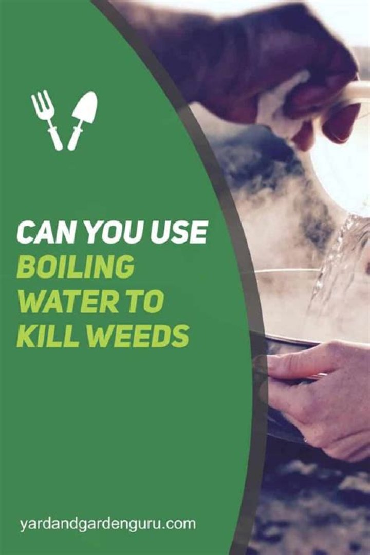 Can you use boiling water to kill weeds