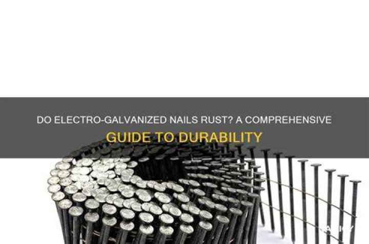 Do electro galvanized nails rust