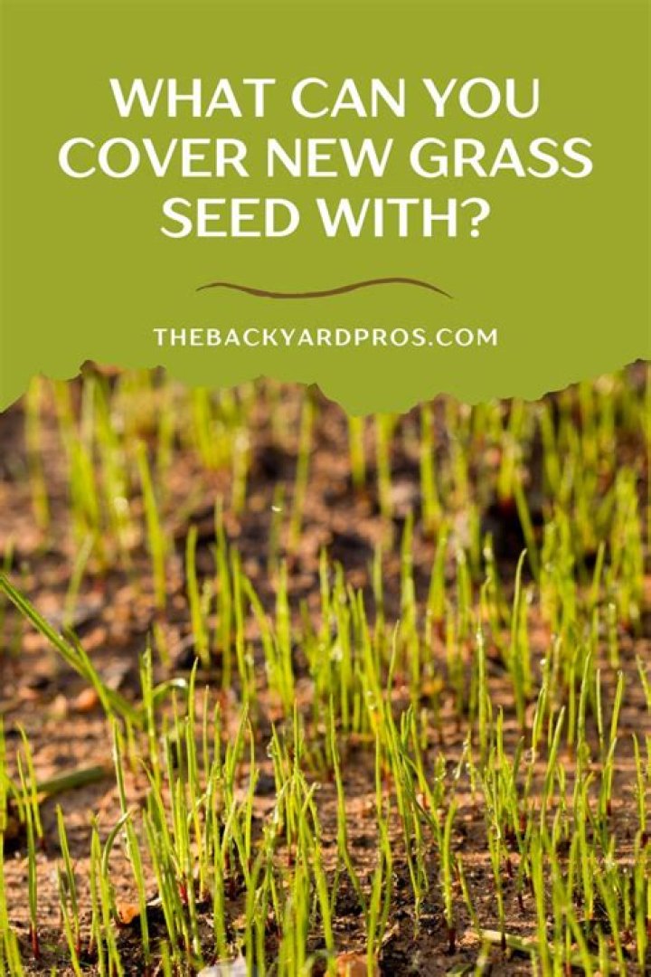 Do you need to cover new grass seed