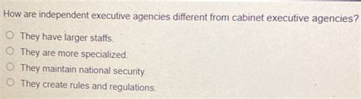 How are independent executive agencies different from cabinet executive agencies