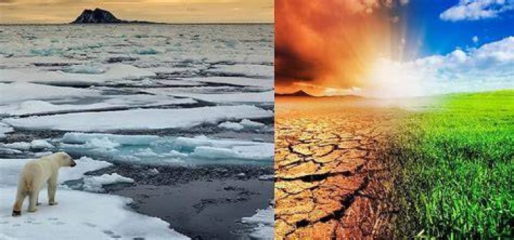 How are plants being affected by global warming