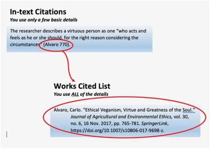 How do you cite something in MLA