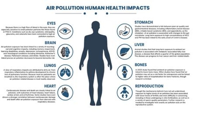 How does air pollution affect human health
