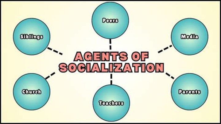 How does school act as an agent of socialization