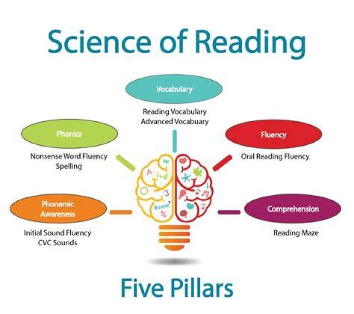 How does theory apply to the reading of literature