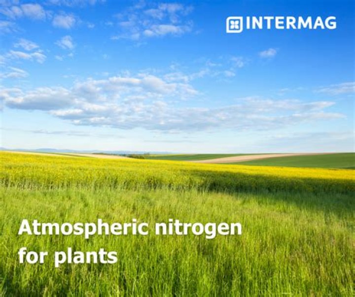 How is atmospheric nitrogen made available to plants