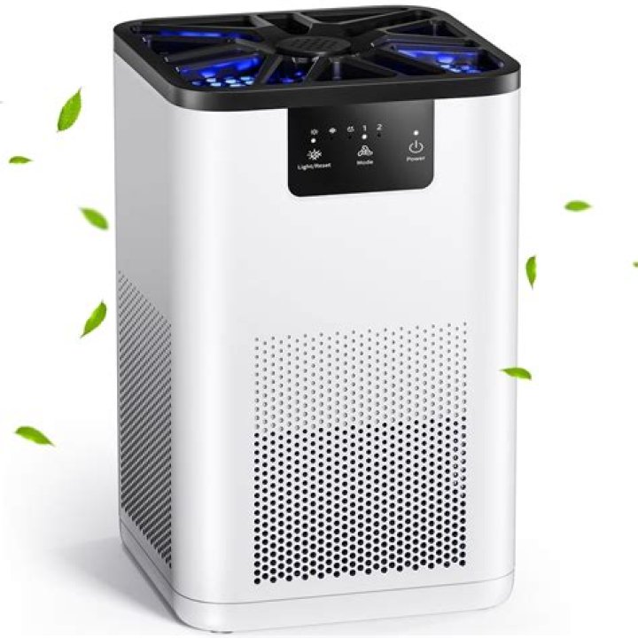 Is HEPA Air Purifier the best