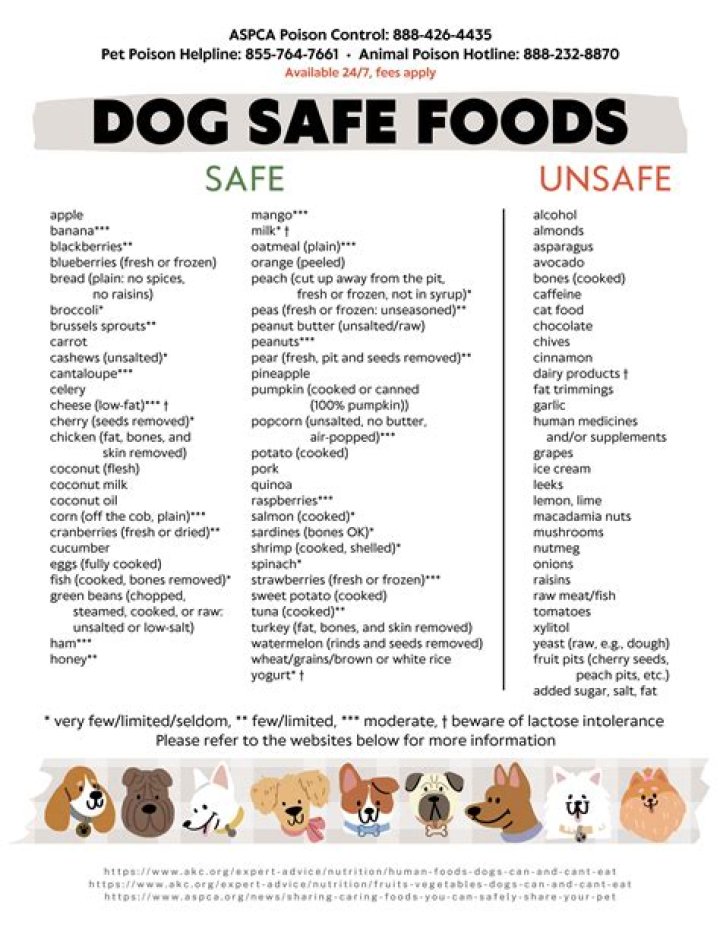 Is it safe for dogs to eat rhubarb