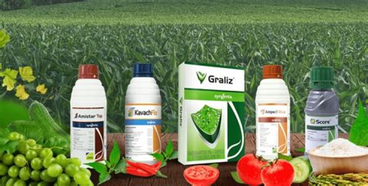 Is Lime a fungicide