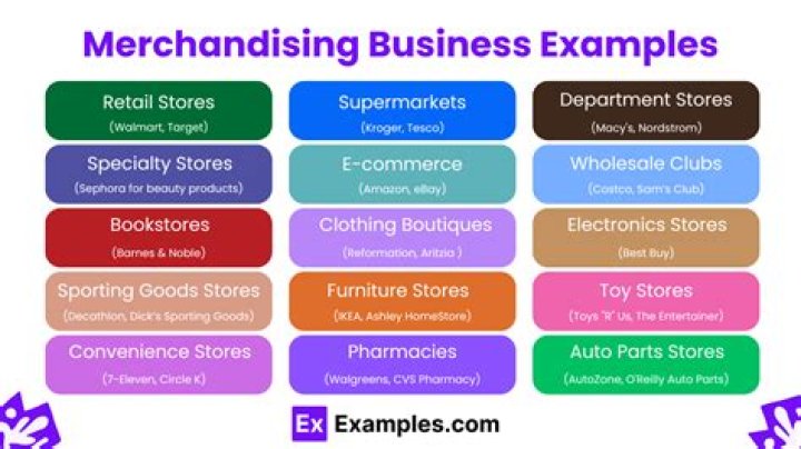 What are examples of merchandising companies
