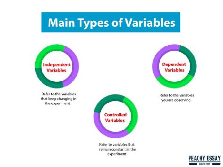What are the 3 types of variables