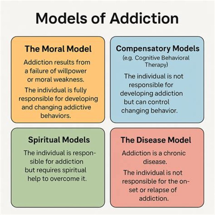 What are the three models of addiction