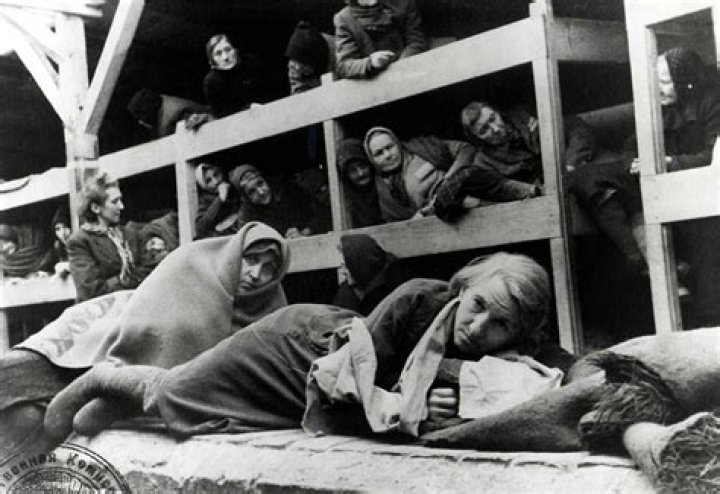 What camps did Elie Wiesel go to