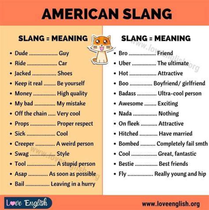 What does digs mean slang