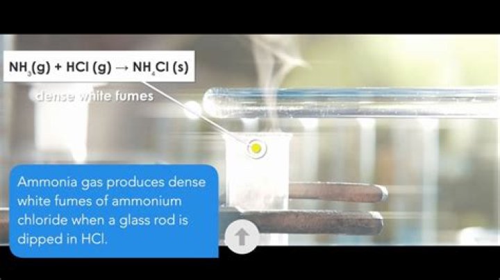 What ions are present in nh4oh