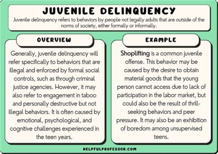 What is a unruly behavior in a juvenile case