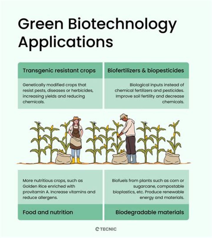 What is biotechnology in your own words