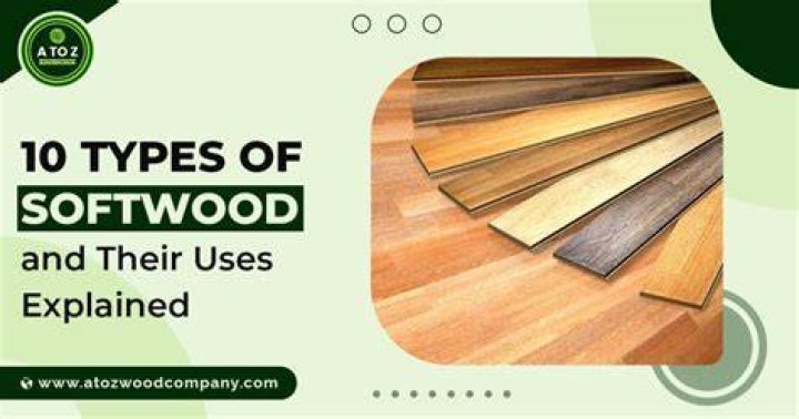 What is softwood lumber used for