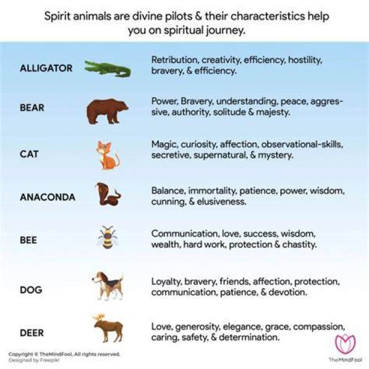 What is Spirit Animal meaning