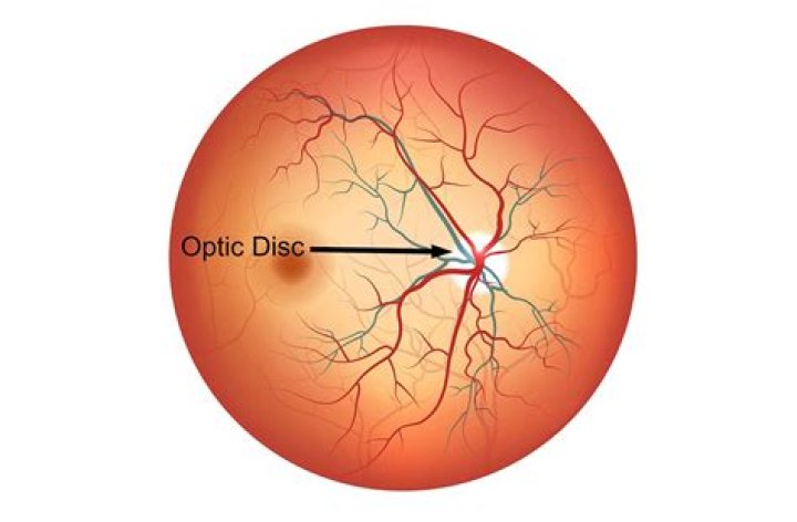 What is the function of blind spot in eye