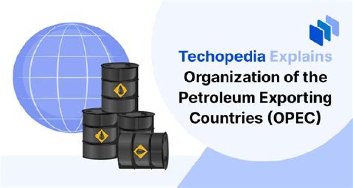 What is the goal of the Organization of Petroleum Exporting Countries OPEC