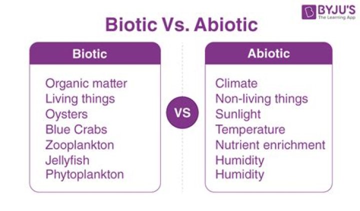What is the meaning and origin of the term biotic