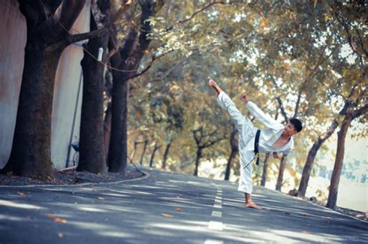 What is the meaning of OSS in karate