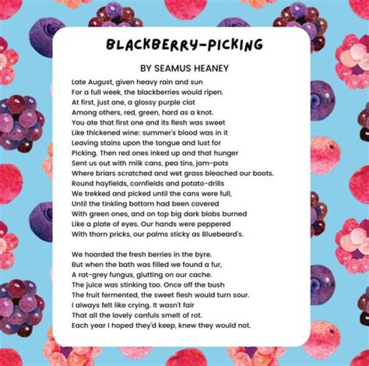 What is the message of blackberry picking