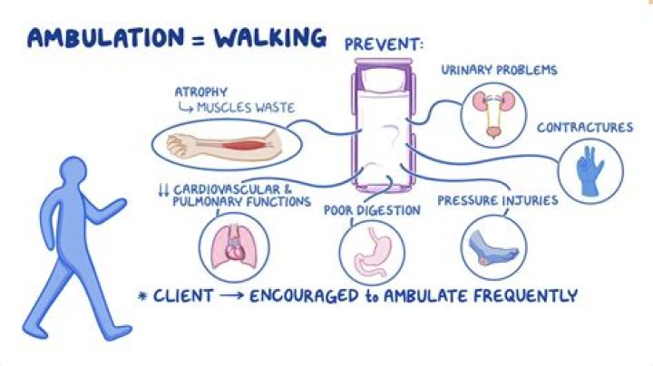 What is the purpose of ambulation