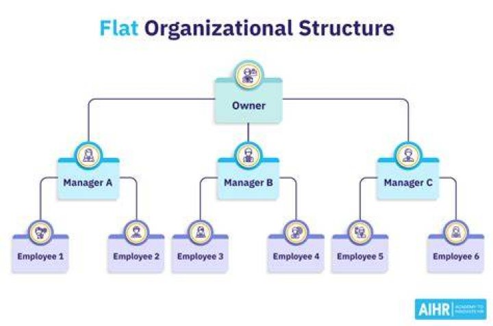 What is the structure of an organization