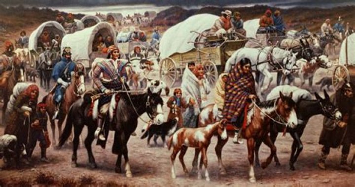 What is the Trail of Tears and what happened