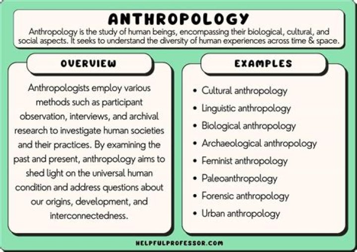 What kind of jobs do anthropologists have
