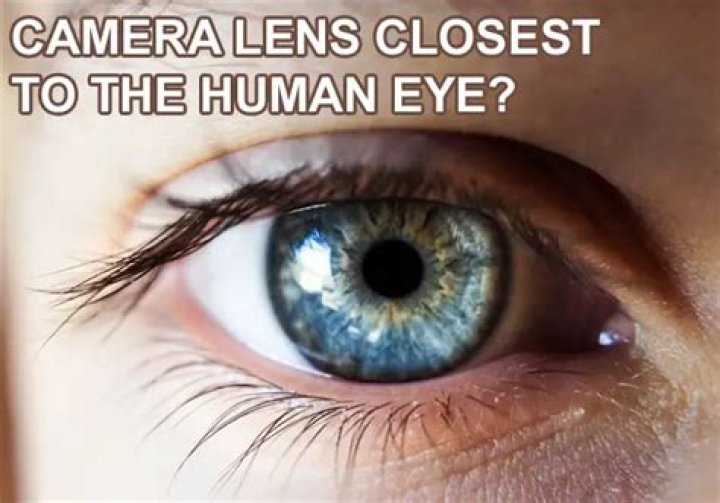 What lens is closest to the human eye