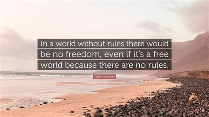 What would happen if the world had no rules