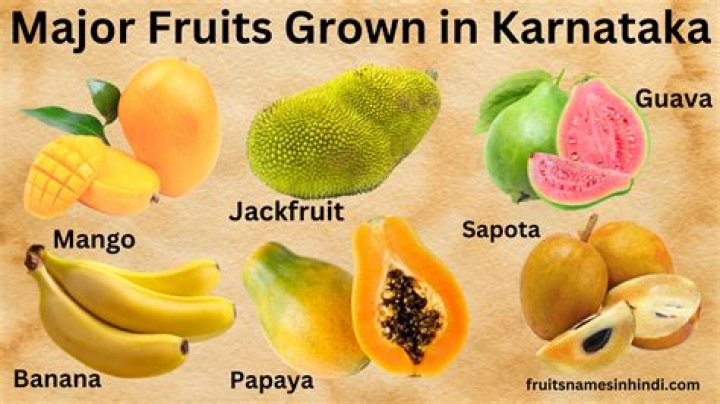 Which fruits grow in Karnataka