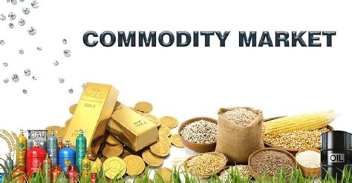 Which is a commodity someone might invest