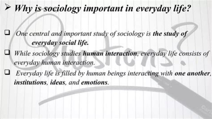 Why is sociology important in everyday life
